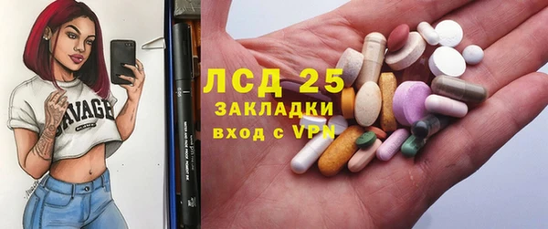 спиды Бородино