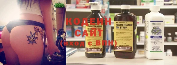 крисы Бронницы
