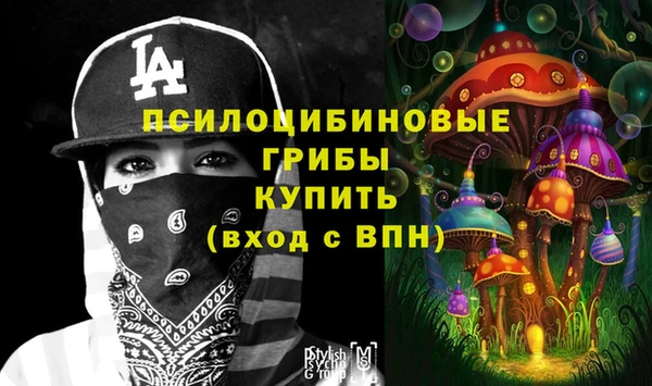мдпв Богородицк
