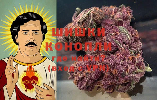 спиды Бородино