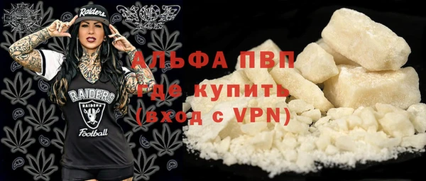 спиды Бородино